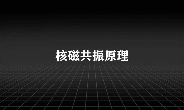 核磁共振原理