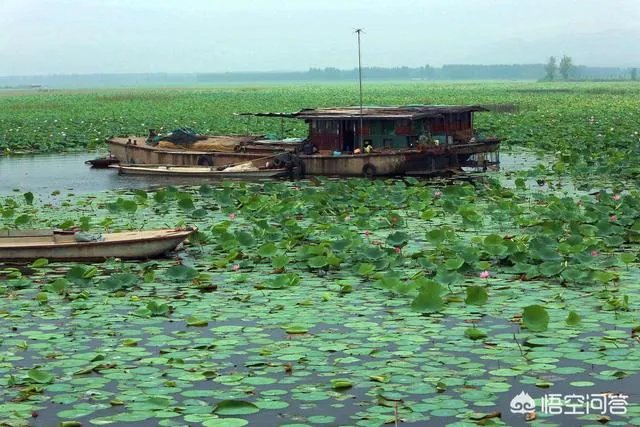 济宁有哪些旅游景点？