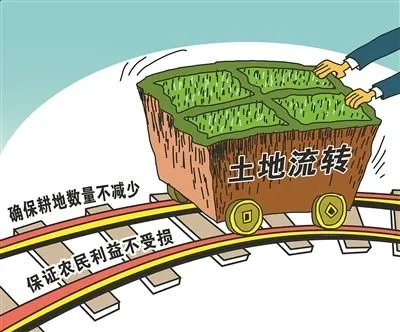 土地流转的意义有哪些