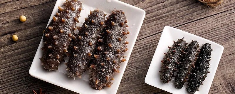 挑选干海参的10个方法 如何挑选干海参