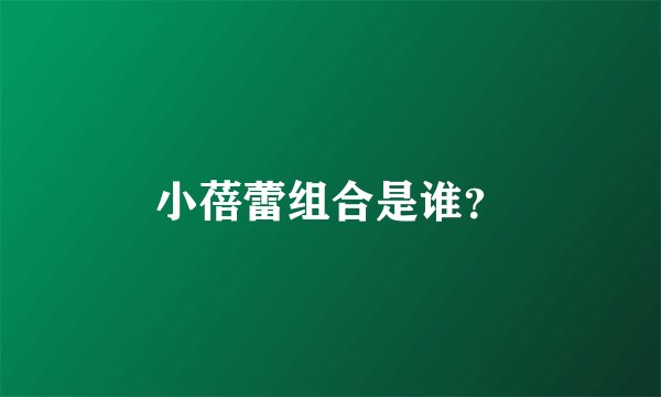 小蓓蕾组合是谁？