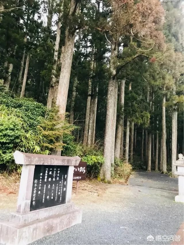 请问最近有没有去过高野山的朋友?