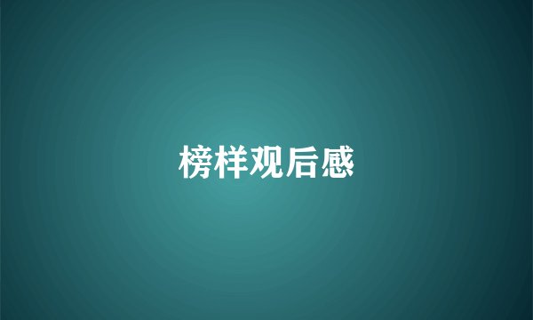 榜样观后感