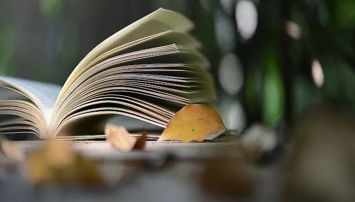 不毛之地什么意思 不毛之地什么意思解释