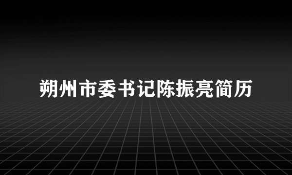 朔州市委书记陈振亮简历