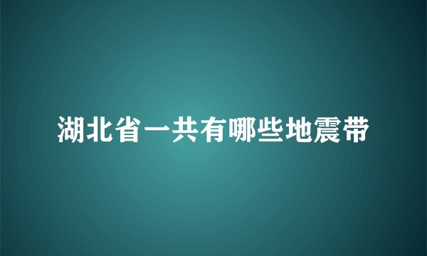 湖北省一共有哪些地震带