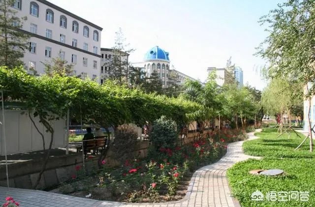 新疆医科大学与新乡医学院比较哪一个好?