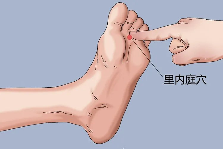 足底穴位