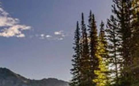 一道风景线作文