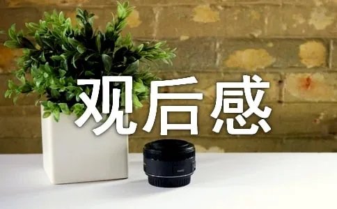 《舌尖上的中国》观后感
