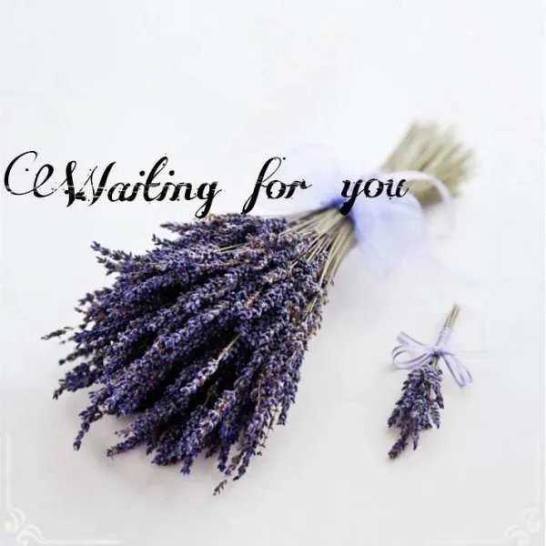 waiting for you什么意思？