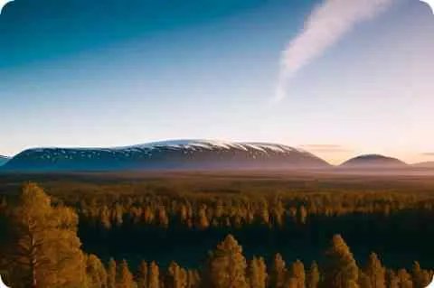 梦见坠机预示什么 – 周公解梦