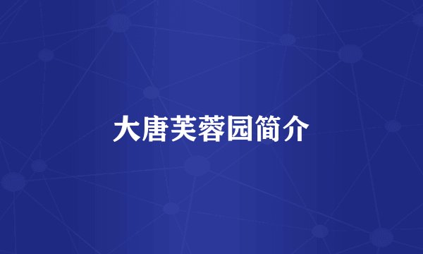 大唐芙蓉园简介