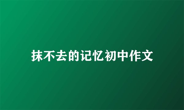 抹不去的记忆初中作文