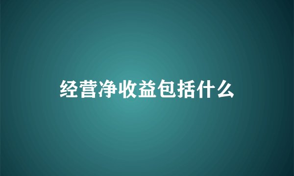 经营净收益包括什么