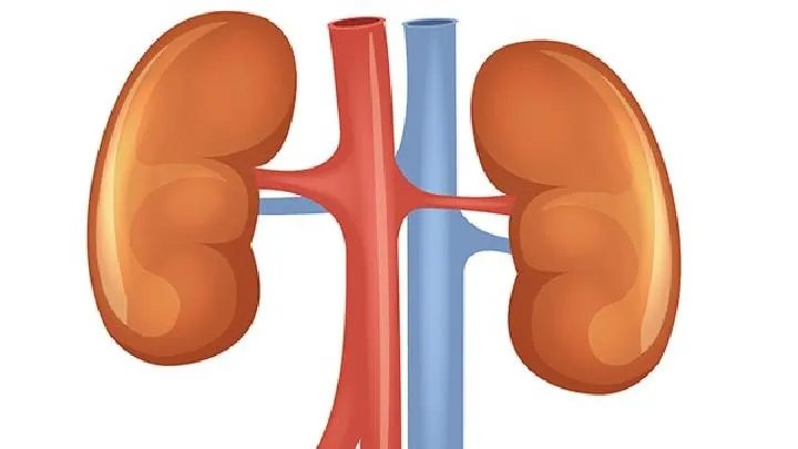 男性肾虚食补之法有哪些？