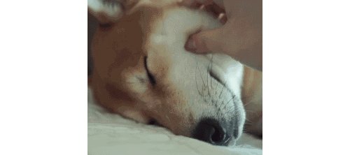 地下室装修风格有哪些 地下室装修需注意什么