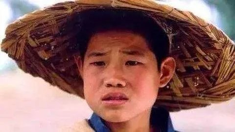 谢孟伟演过的电视剧