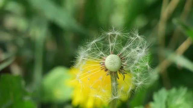 性价比最高的相机是哪款？