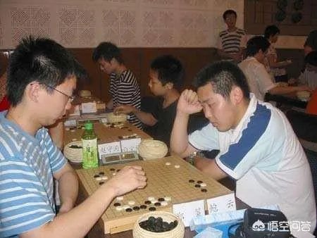 最强大脑鲍橒那么聪明，为什么只是围棋业余6段？