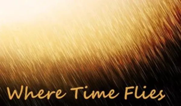 time flies和time files哪个是正确的？为什么？