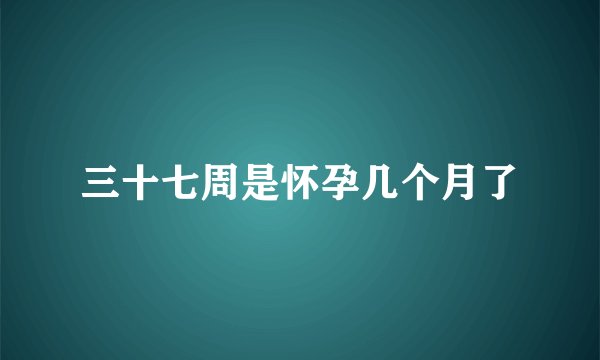 三十七周是怀孕几个月了