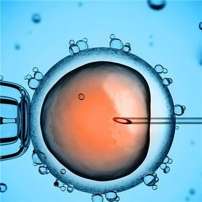 试管婴儿过程是怎么样的