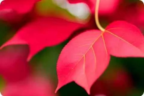 交通违章代码1712是什么意思