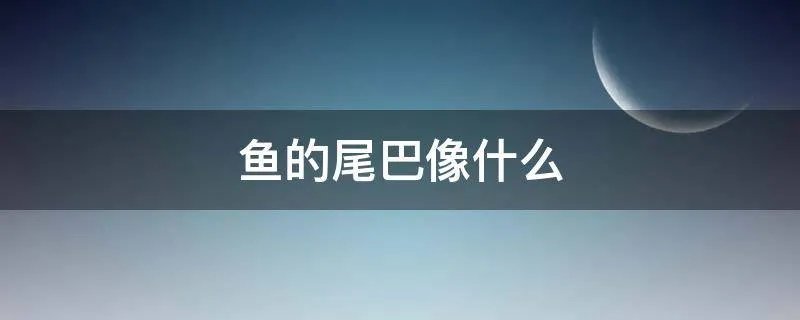 鱼的尾巴像什么
