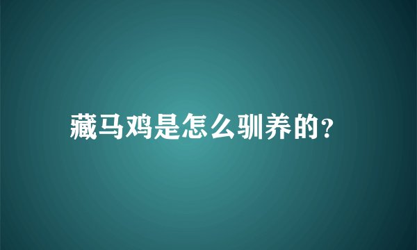 藏马鸡是怎么驯养的？