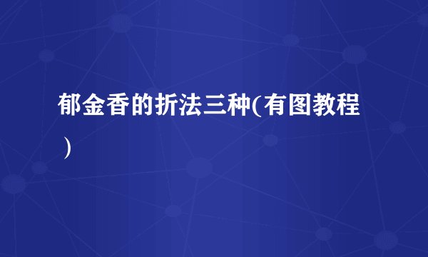 郁金香的折法三种(有图教程）