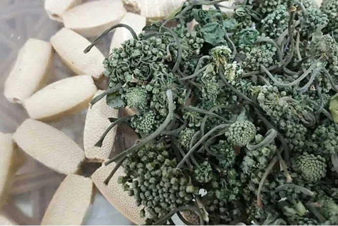 三七花的功效和作用是什么