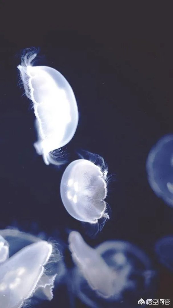 有什么好看的、景色秀丽的壁纸？