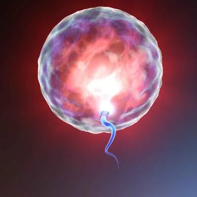 怎么让精子质量提高 提升精子可从四方面入手