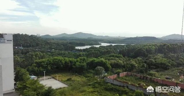 塘头工业园嘉利大厦是小产权吗