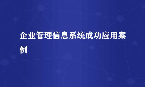企业管理信息系统成功应用案例