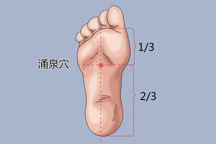 足底穴位