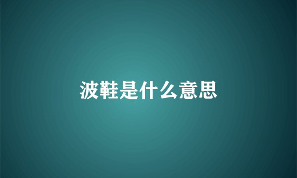 波鞋是什么意思