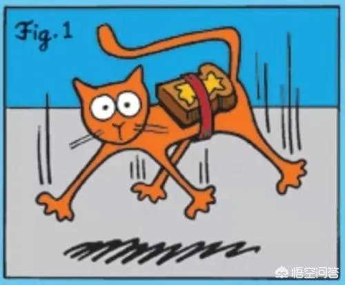 黄油猫悖论到底是否真实？