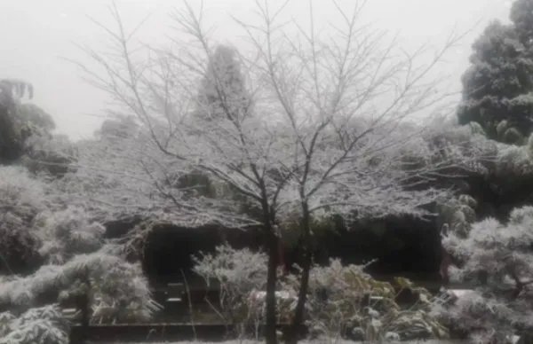 浙江下雪吗？