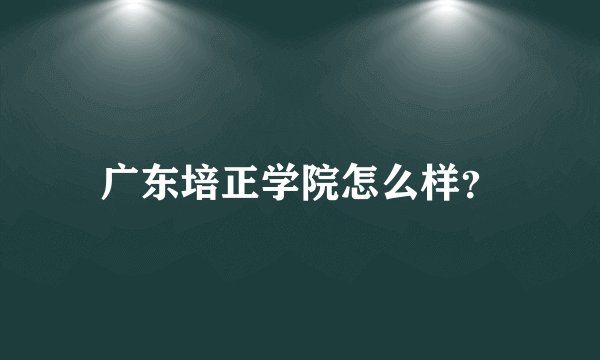 广东培正学院怎么样？