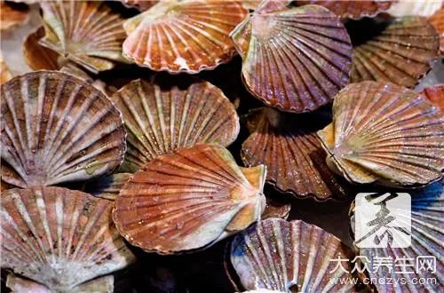 河蚌哪些部位能吃图