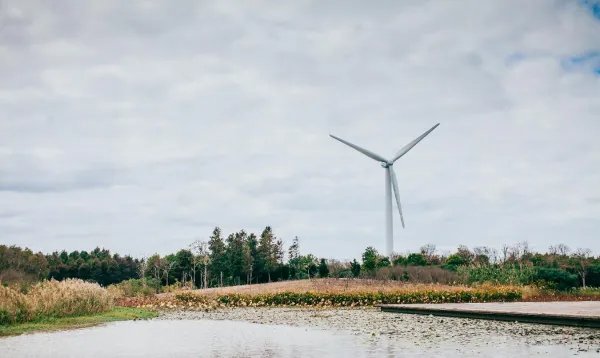 崇明岛不属于上海吗？那崇明岛到底属于哪里？