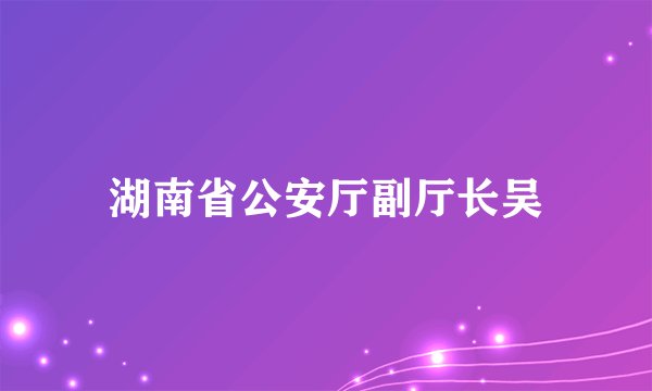 湖南省公安厅副厅长吴