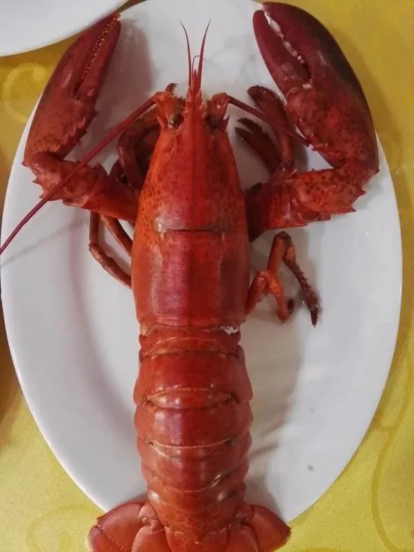 奥迪A4报价是多少？目前值得入手么？