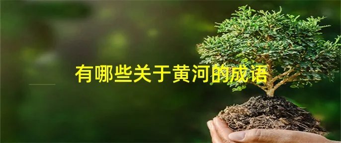 有哪些关于黄河的成语