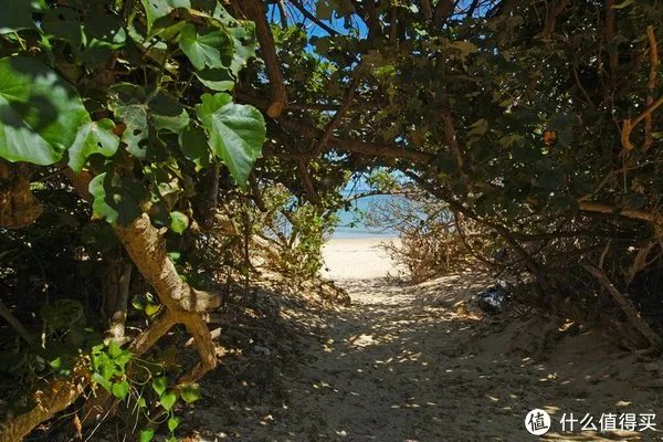 单反镜头选购指南