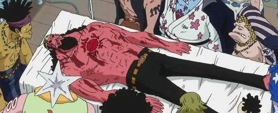 费舍尔泰格什么实力