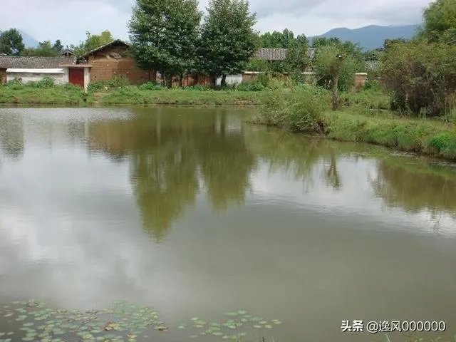 鱼塘怎样设计才好？