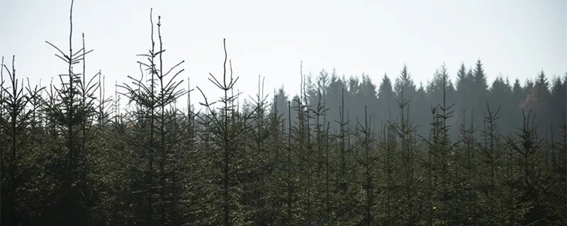 大金国是现在中国哪个省